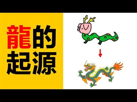 龍的意思|龍